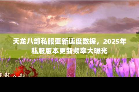 天龙八部私服更新速度数据，2025年私服版本更新频率大曝光