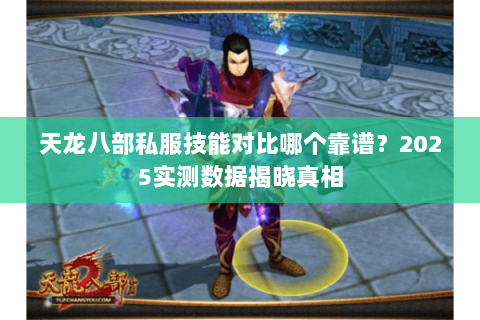天龙八部私服技能对比哪个靠谱？2025实测数据揭晓真相
