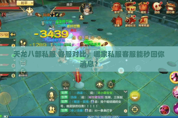 天龙八部私服 客服对比，哪家私服客服能秒回你消息？
