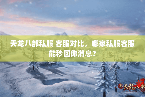 天龙八部私服 客服对比,哪家私服客服能秒回你消息? 天龙八部私服 客服对比,哪家私服客服能秒回你消息?