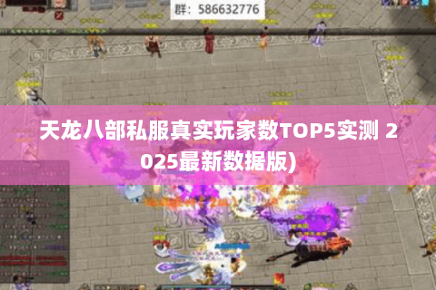 天龙八部私服真实玩家数TOP5实测 2025最新数据版)