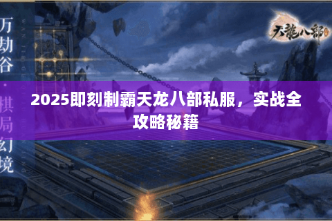 2025即刻制霸天龙八部私服，实战全攻略秘籍