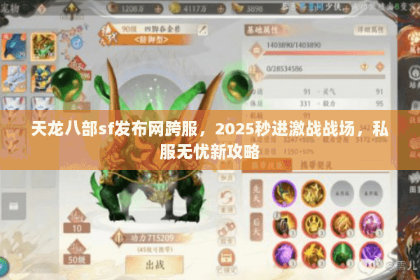 天龙八部sf发布网跨服，2025秒进激战战场，私服无忧新攻略
