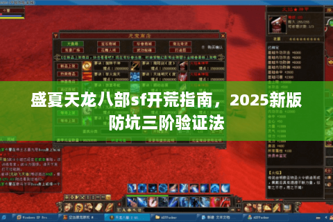 盛夏天龙八部sf开荒指南，2025新版防坑三阶验证法