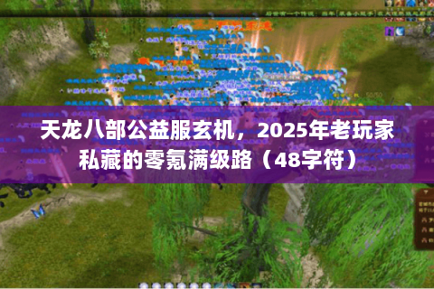天龙八部公益服玄机，2025年老玩家私藏的零氪满级路（48字符）