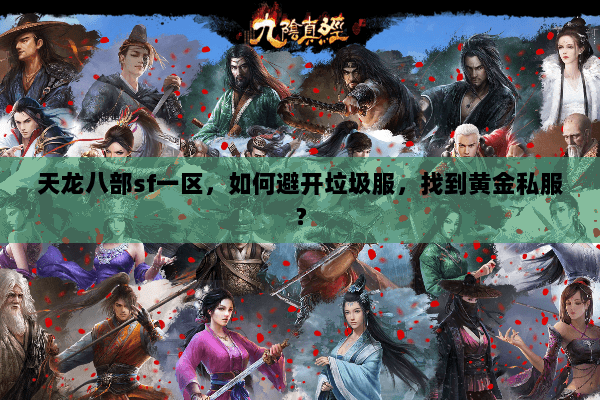 天龙八部sf一区,如何避开垃圾服,找到黄金私服? 天龙八部sf一区,如何避开垃圾服,找到黄金私服?