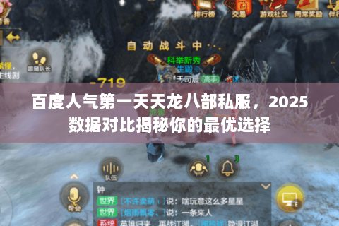 百度人气第一天天龙八部私服，2025数据对比揭秘你的最优选择
