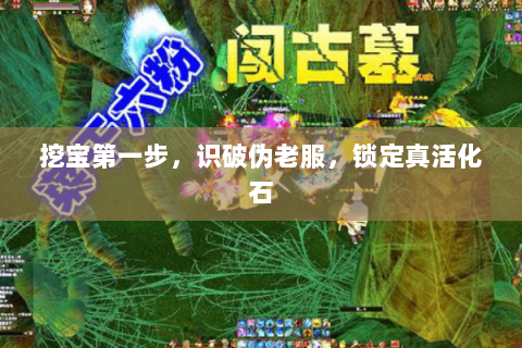 挖宝第一步,识破伪老服,锁定真活化石 挖宝第一步,识破伪老服,锁定真活化石