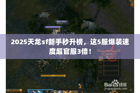 2025天龙sf新手秒升榜，这5服爆装速度超官服3倍！