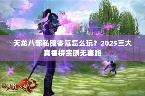 天龙八部私服零氪怎么玩?2025三大真香榜实测无套路 天龙八部私服零氪怎么玩?2025三大真香榜实测无套路