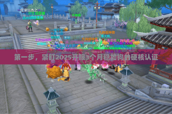 第一步,紧盯2025开服3个月稳如狗的硬核认证 第一步,紧盯2025开服3个月稳如狗的硬核认证