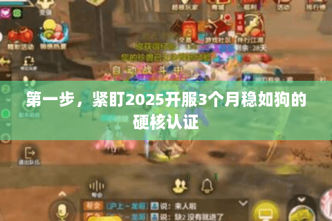 第一步,紧盯2025开服3个月稳如狗的硬核认证 第一步,紧盯2025开服3个月稳如狗的硬核认证