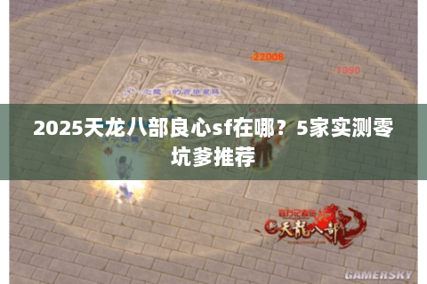 2025天龙八部良心sf在哪？5家实测零坑爹推荐
