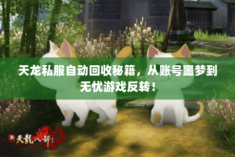 天龙私服自动回收秘籍,从账号噩梦到无忧游戏反转! 天龙私服自动回收秘籍,从账号噩梦到无忧游戏反转!