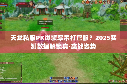 天龙私服PK爆装率吊打官服?2025实测数据解锁真·爽战姿势 天龙私服PK爆装率吊打官服?2025实测数据解锁真·爽战姿势