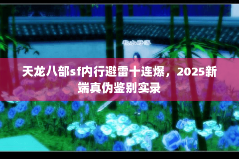天龙八部sf内行避雷十连爆，2025新端真伪鉴别实录