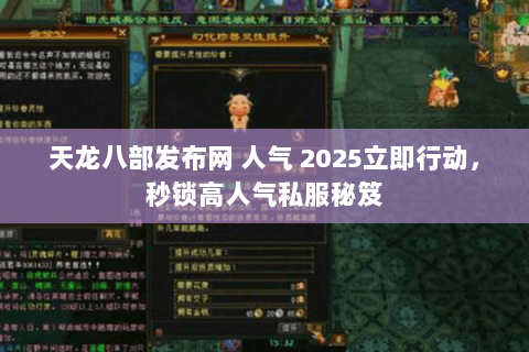 天龙八部发布网 人气 2025立即行动，秒锁高人气私服秘笈