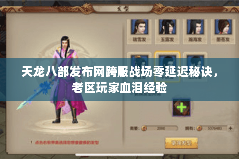 天龙八部发布网跨服战场零延迟秘诀，老区玩家血泪经验