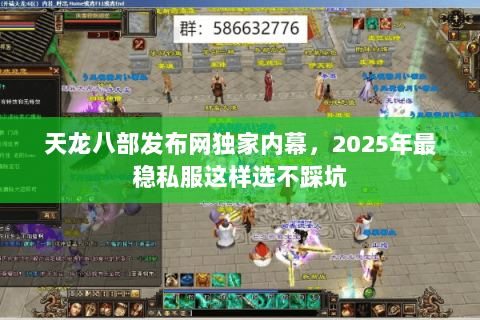 天龙八部发布网独家内幕，2025年最稳私服这样选不踩坑