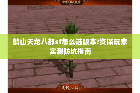 鹤山天龙八部sf怎么选版本?资深玩家实测防坑指南 鹤山天龙八部sf怎么选版本?资深玩家实测防坑指南