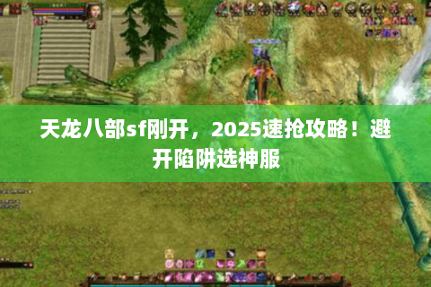 天龙八部sf刚开，2025速抢攻略！避开陷阱选神服