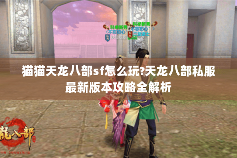 猫猫天龙八部sf怎么玩?天龙八部私服最新版本攻略全解析