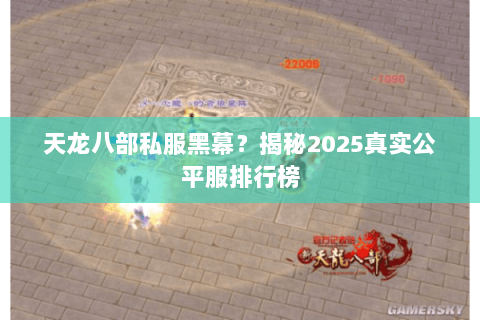 天龙八部私服黑幕？揭秘2025真实公平服排行榜