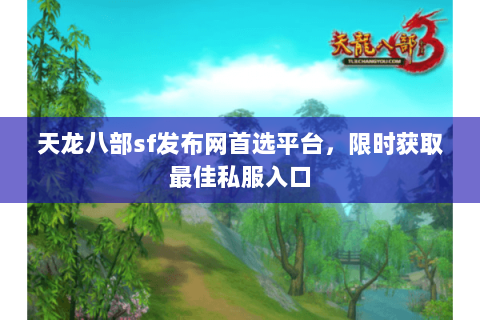 天龙八部sf发布网首选平台，限时获取最佳私服入口