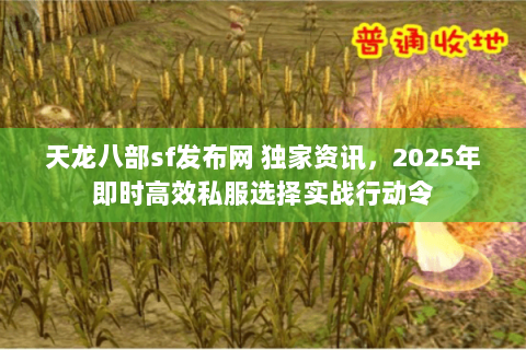 天龙八部sf发布网 独家资讯,2025年即时高效私服选择实战行动令 天龙八部sf发布网 独家资讯,2025年即时高效私服选择实战行动令