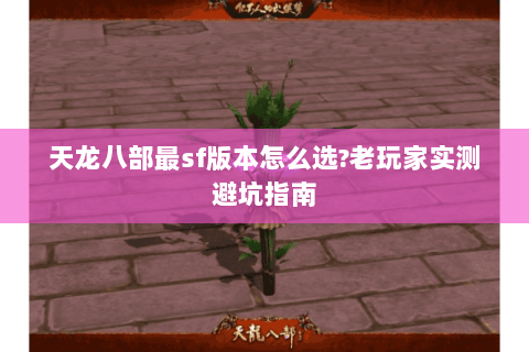 天龙八部最sf版本怎么选?老玩家实测避坑指南 天龙八部最sf版本怎么选?老玩家实测避坑指南