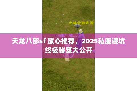 天龙八部sf 放心推荐,2025私服避坑终极秘笈大公开 天龙八部sf 放心推荐,2025私服避坑终极秘笈大公开