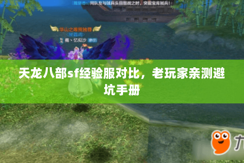天龙八部sf经验服对比，老玩家亲测避坑手册