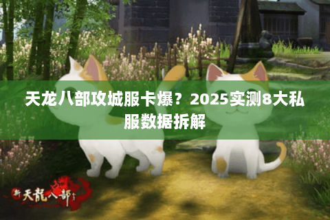 天龙八部攻城服卡爆?2025实测8大私服数据拆解 天龙八部攻城服卡爆?2025实测8大私服数据拆解