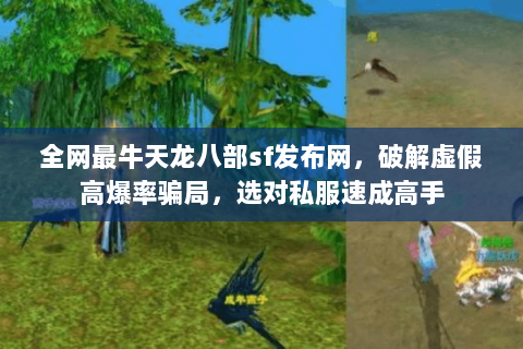 全网最牛天龙八部sf发布网，破解虚假高爆率骗局，选对私服速成高手