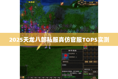 2025天龙八部私服真仿官服TOP5实测 2025天龙八部私服真仿官服TOP5实测