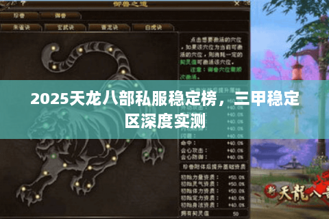 2025天龙八部私服稳定榜,三甲稳定区深度实测 2025天龙八部私服稳定榜,三甲稳定区深度实测