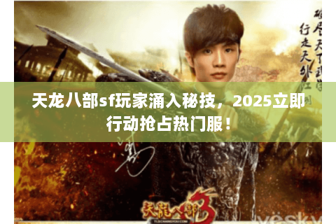 天龙八部sf玩家涌入秘技，2025立即行动抢占热门服！