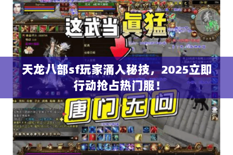 天龙八部sf玩家涌入秘技,2025立即行动抢占热门服! 天龙八部sf玩家涌入秘技,2025立即行动抢占热门服!