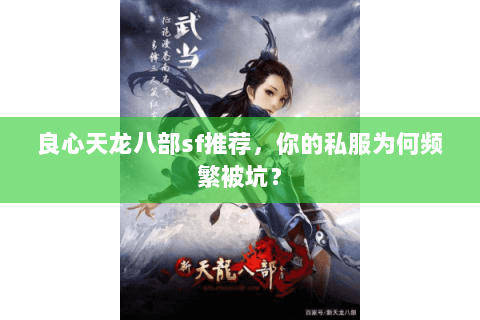 良心天龙八部sf推荐,你的私服为何频繁被坑? 良心天龙八部sf推荐,你的私服为何频繁被坑?
