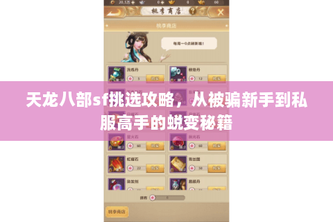 天龙八部sf挑选攻略，从被骗新手到私服高手的蜕变秘籍