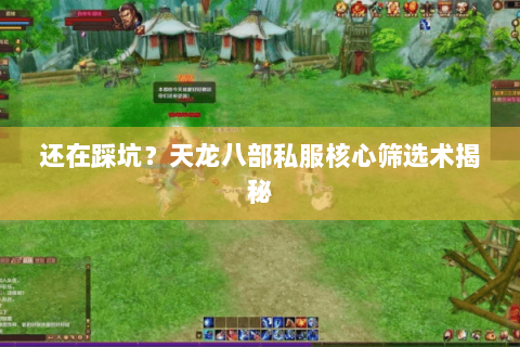 还在踩坑？天龙八部私服核心筛选术揭秘