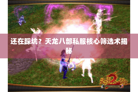还在踩坑？天龙八部私服核心筛选术揭秘