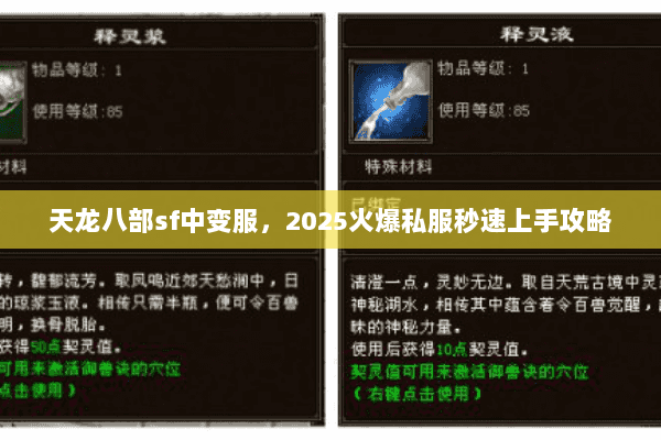 天龙八部sf中变服,2025火爆私服秒速上手攻略 天龙八部sf中变服,2025火爆私服秒速上手攻略