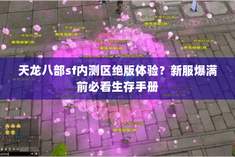 天龙八部sf内测区绝版体验？新服爆满前必看生存手册