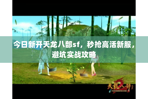 今日新开天龙八部sf,秒抢高活新服,避坑实战攻略 今日新开天龙八部sf,秒抢高活新服,避坑实战攻略