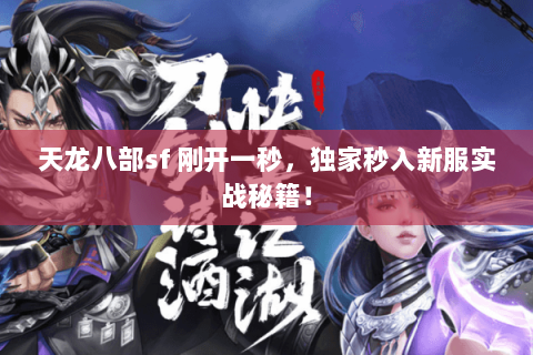 天龙八部sf 刚开一秒，独家秒入新服实战秘籍！