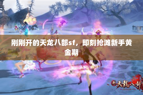 刚刚开的天龙八部sf，即刻抢滩新手黄金期