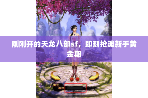 刚刚开的天龙八部sf,即刻抢滩新手黄金期 刚刚开的天龙八部sf,即刻抢滩新手黄金期