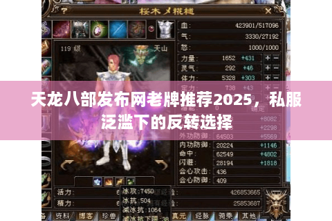 天龙八部发布网老牌推荐2025,私服泛滥下的反转选择 天龙八部发布网老牌推荐2025,私服泛滥下的反转选择