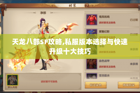 天龙八部SF攻略,私服版本选择与快速升级十大技巧